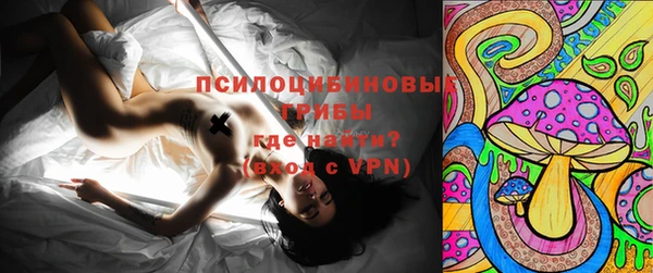 прущий лед Алексин